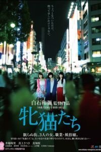   Кошачий рассвет (2017)