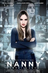Nanny Surveillance (2018)