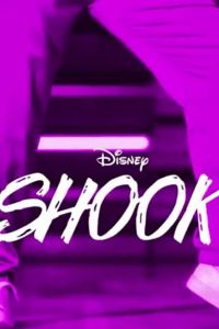   Shook (2019)