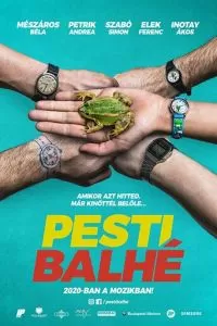 Ограбление в Будапеште (2020)